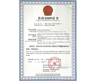 Honors & Certificate