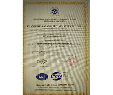 Honors & Certificate