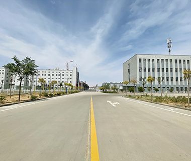 Plant roads