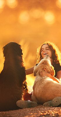 APIs For Veterinary Use